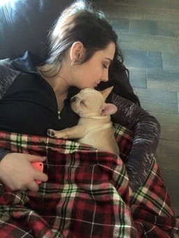 french bulldog puppy for sale